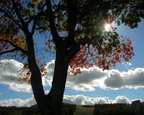 Tenetur autem iste vitae voluptatem